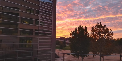 490e3134-2dfc-47bf-8418-4fb5d49d64e7