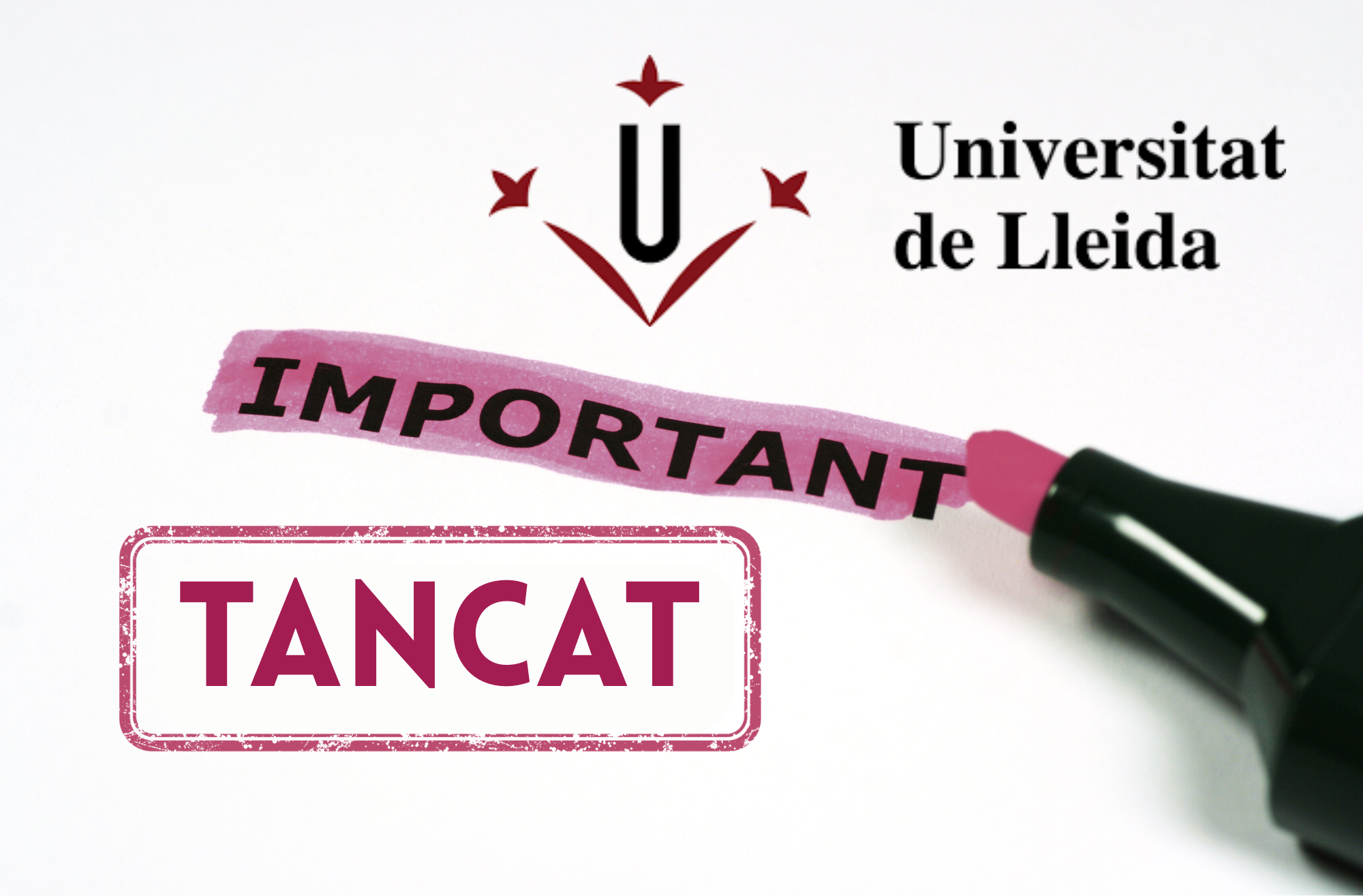 Còpia de accesibilitat digital pantalles