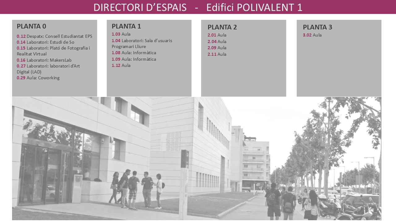 directori Polivalent